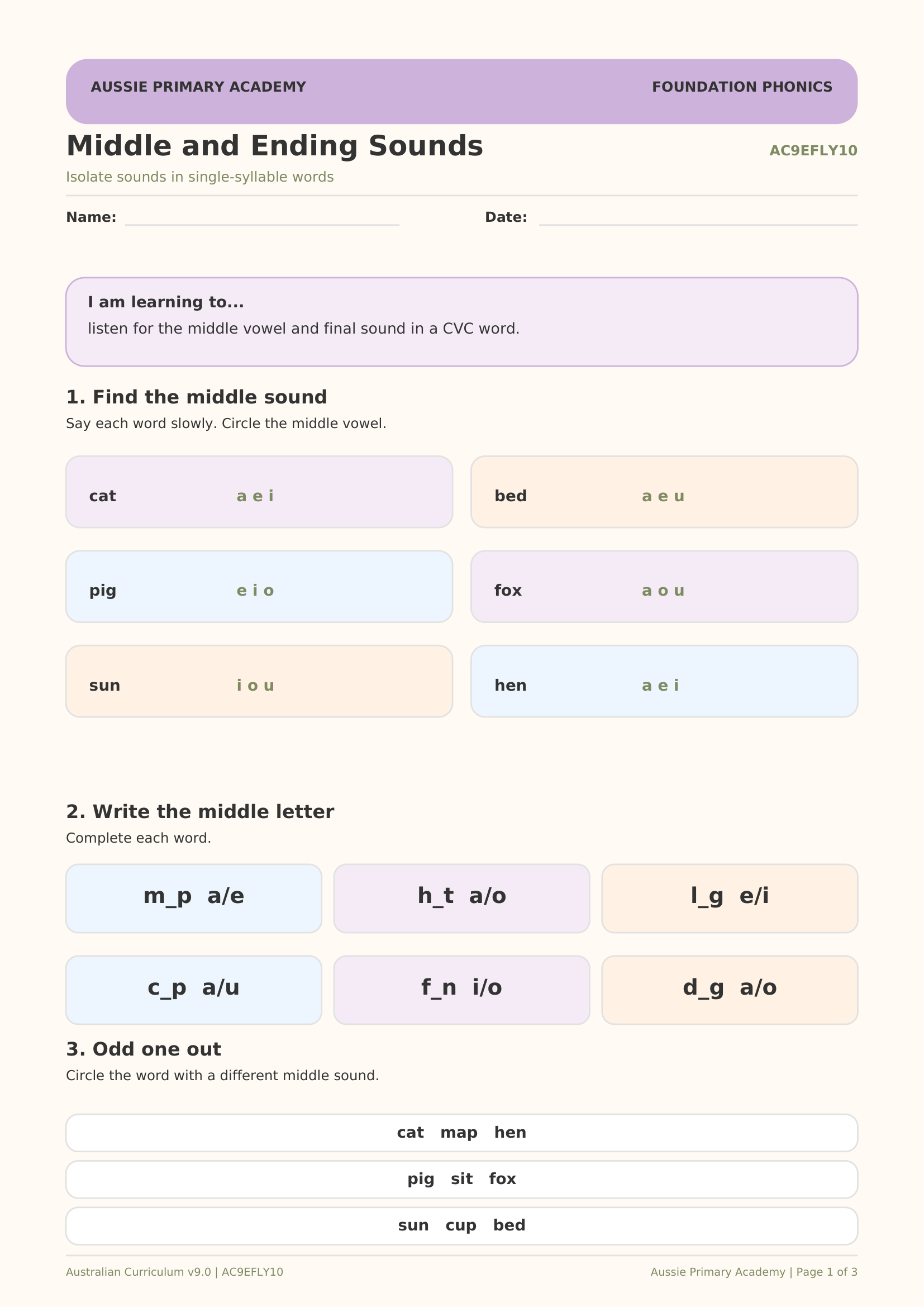 Foundation Phonics Middle and Ending Sounds worksheet preview
