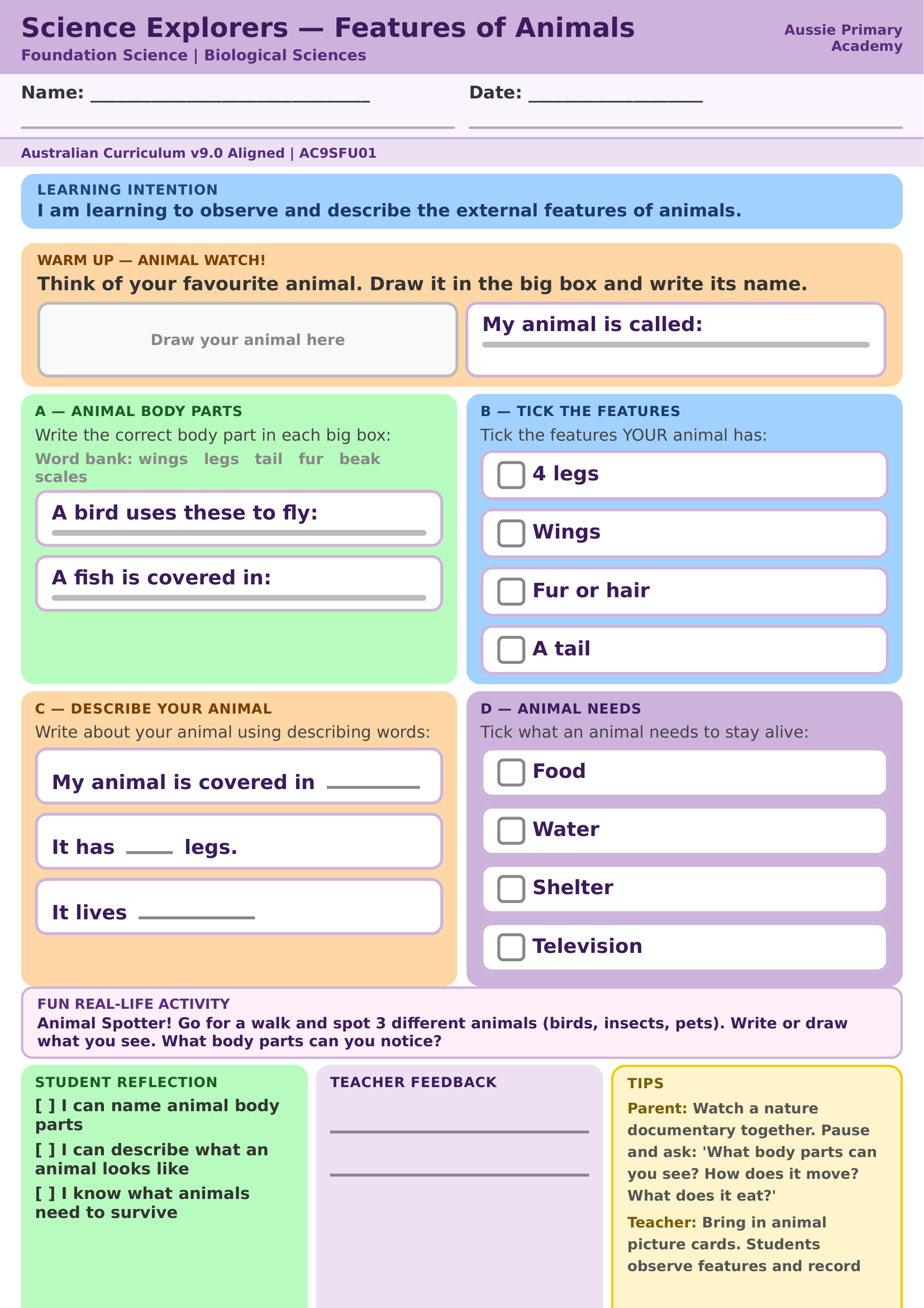 Features of Animals Preview