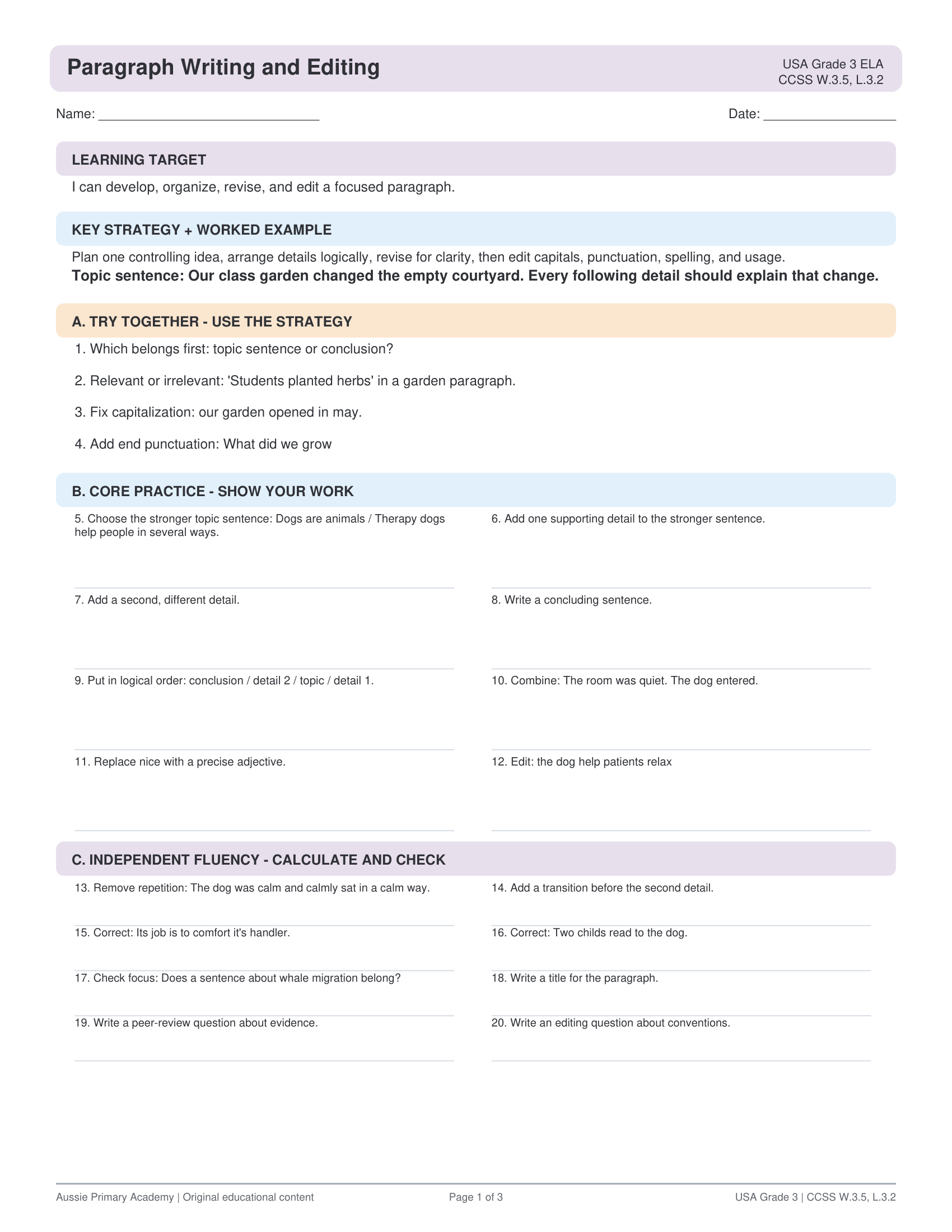 Paragraph Writing Editing worksheet preview