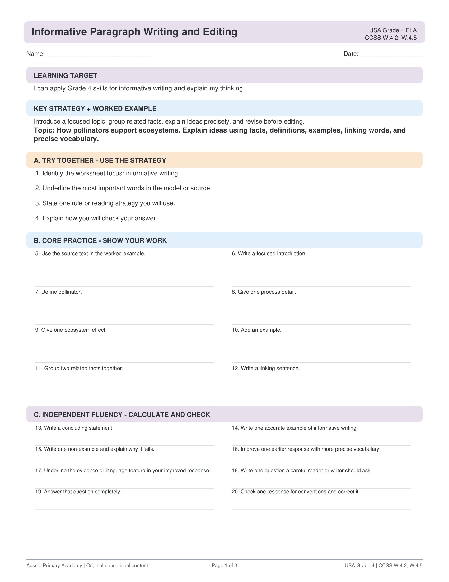 Informative Writing Paragraph Editing worksheet preview