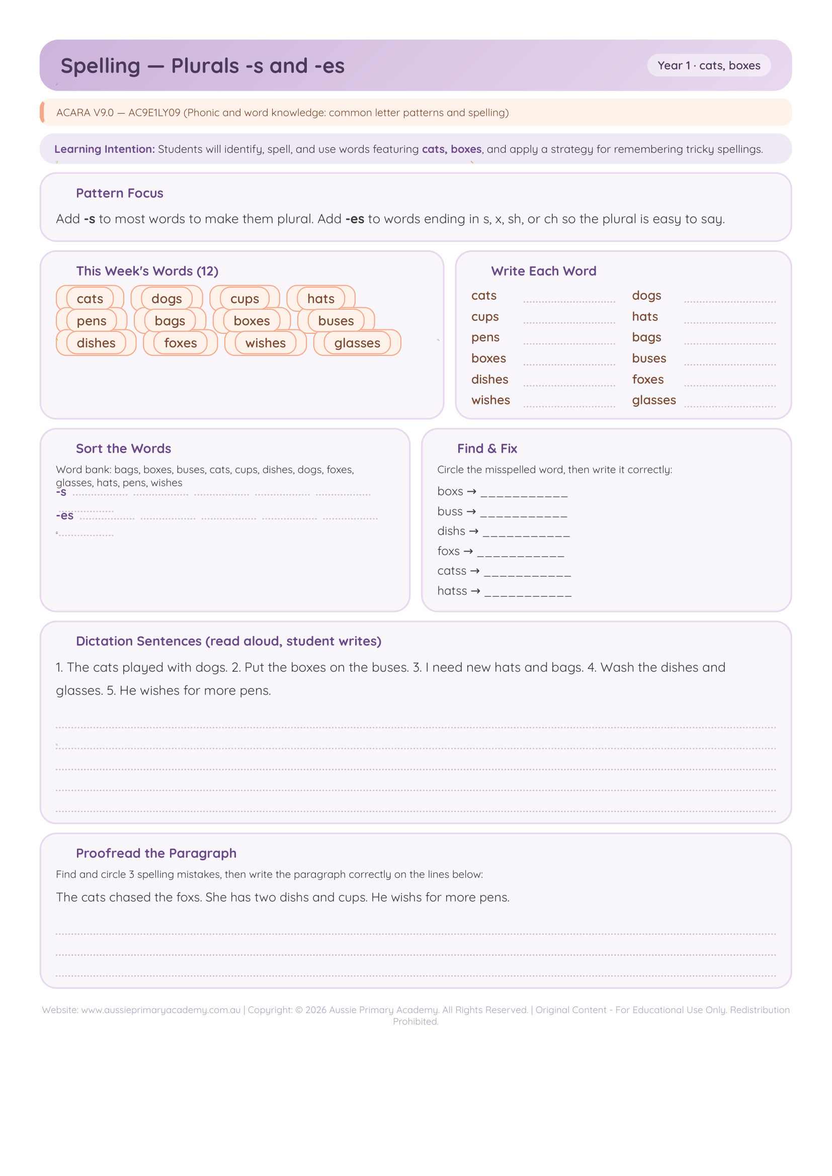 Year 1 Plurals s and es Preview