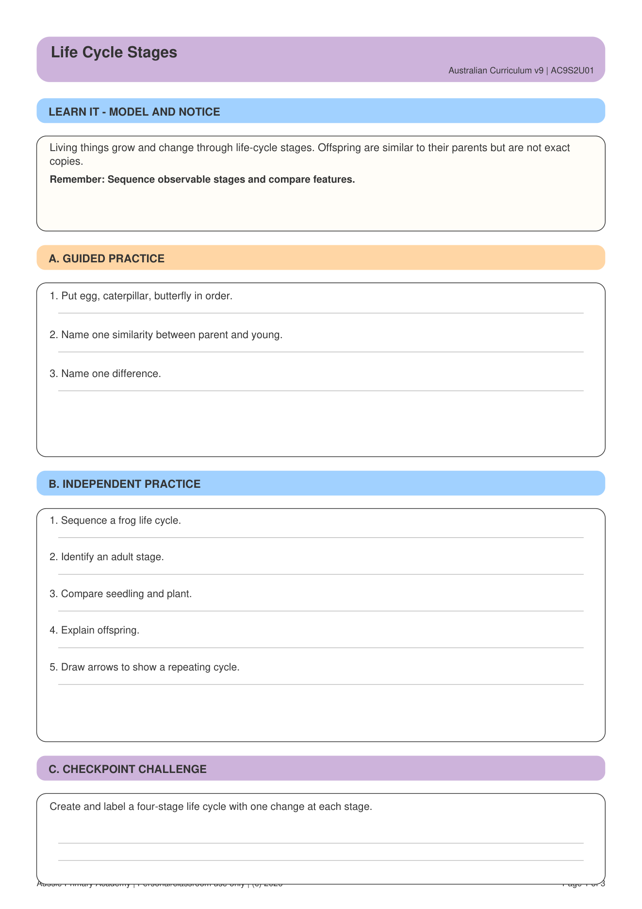 Life Cycle Stages Parents Offspring worksheet preview