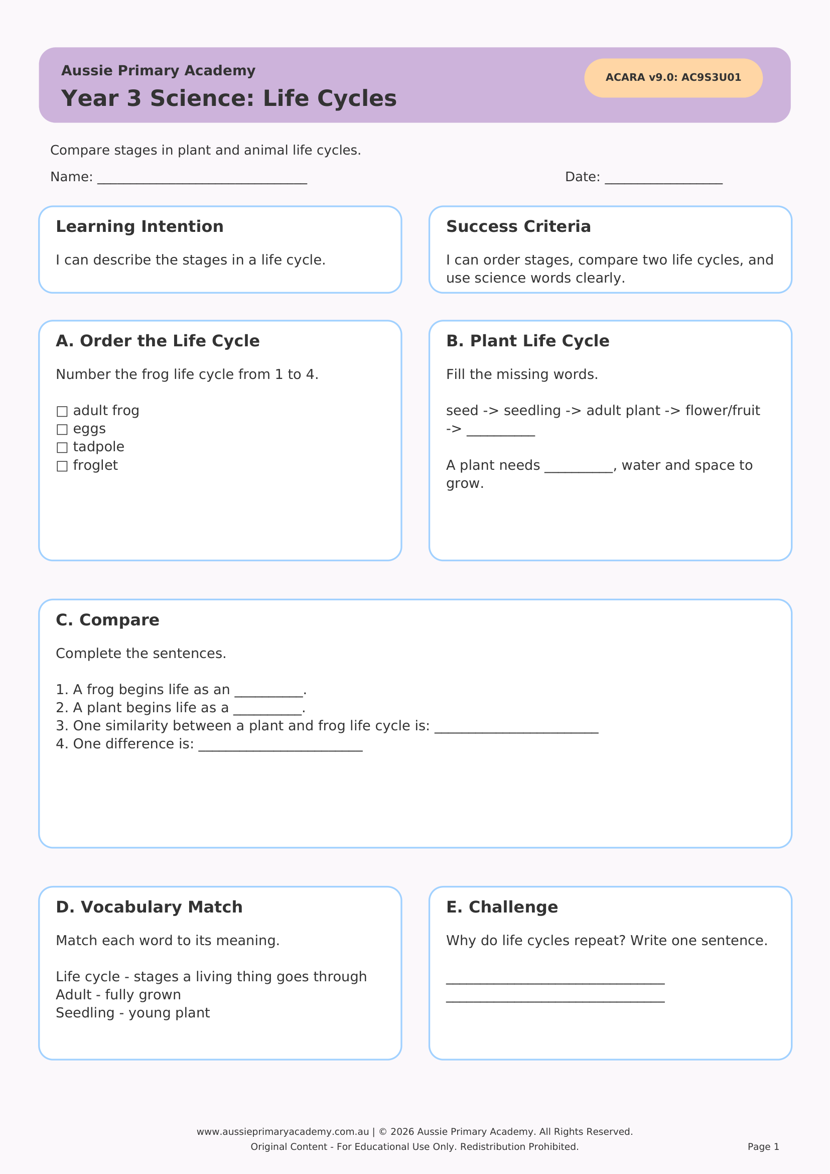 year-3-life-cycles Preview