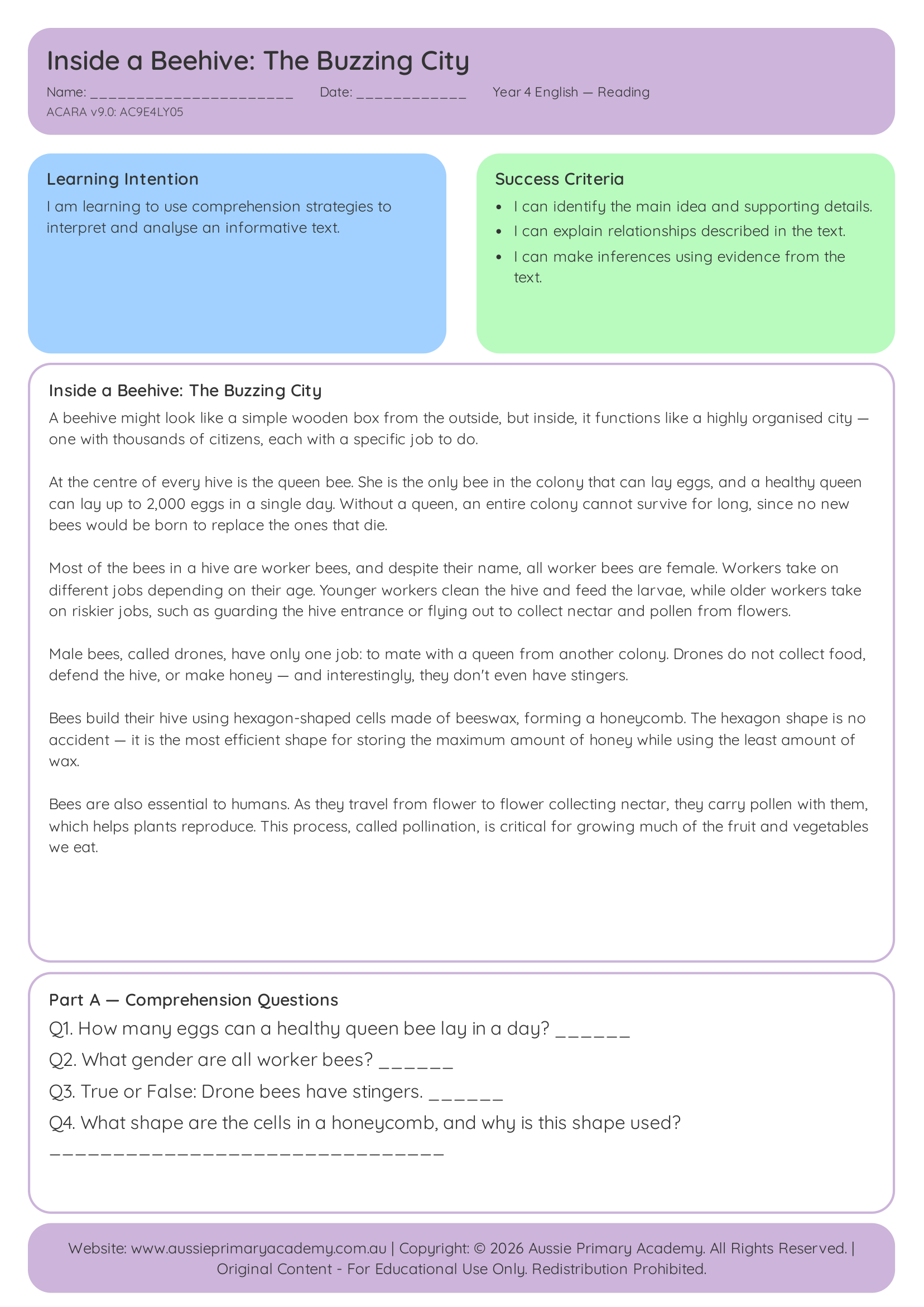 Year 4 Inside a Beehive Preview