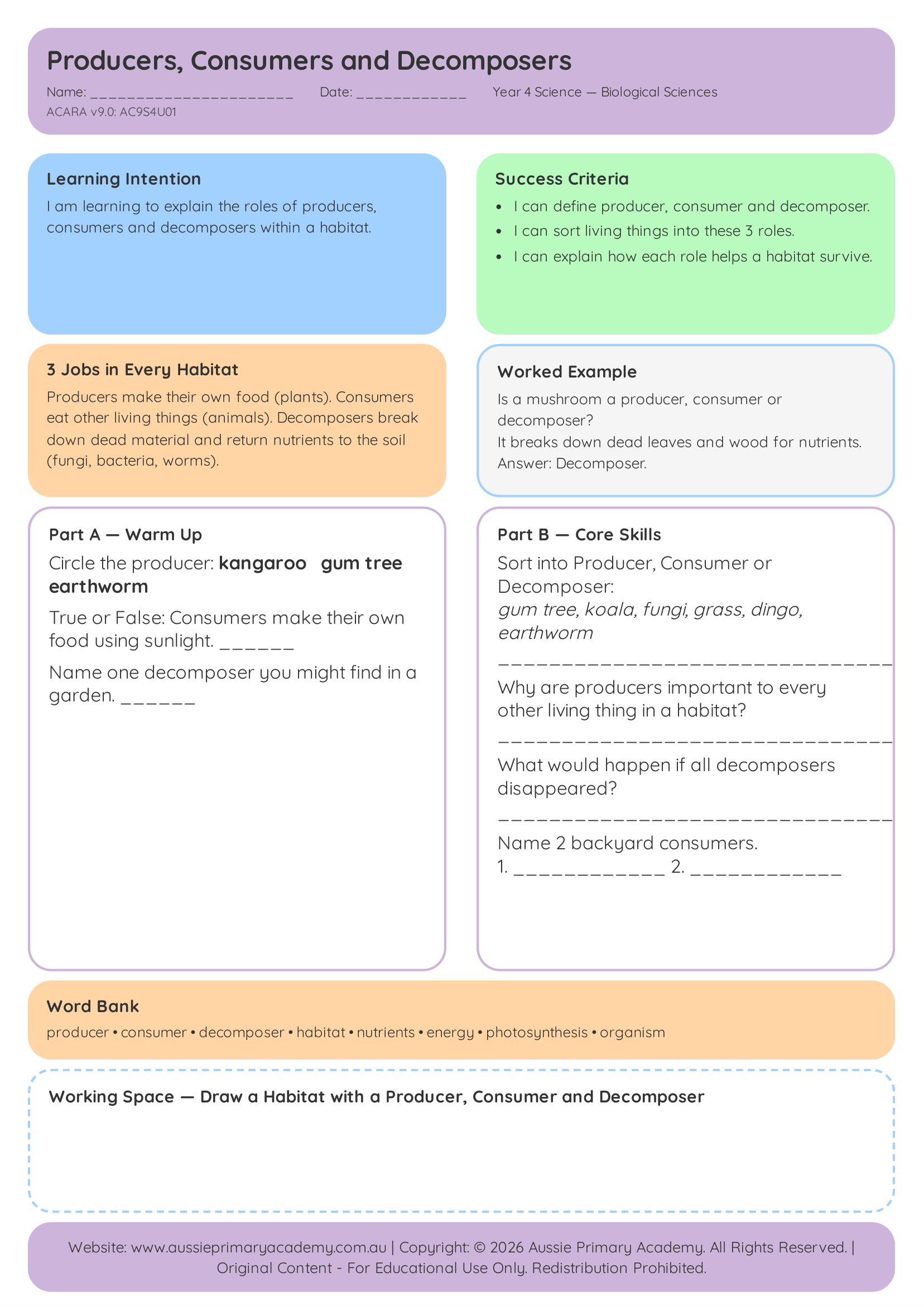 Producers Consumers And Decomposers Pdf Colour With Answers worksheet preview