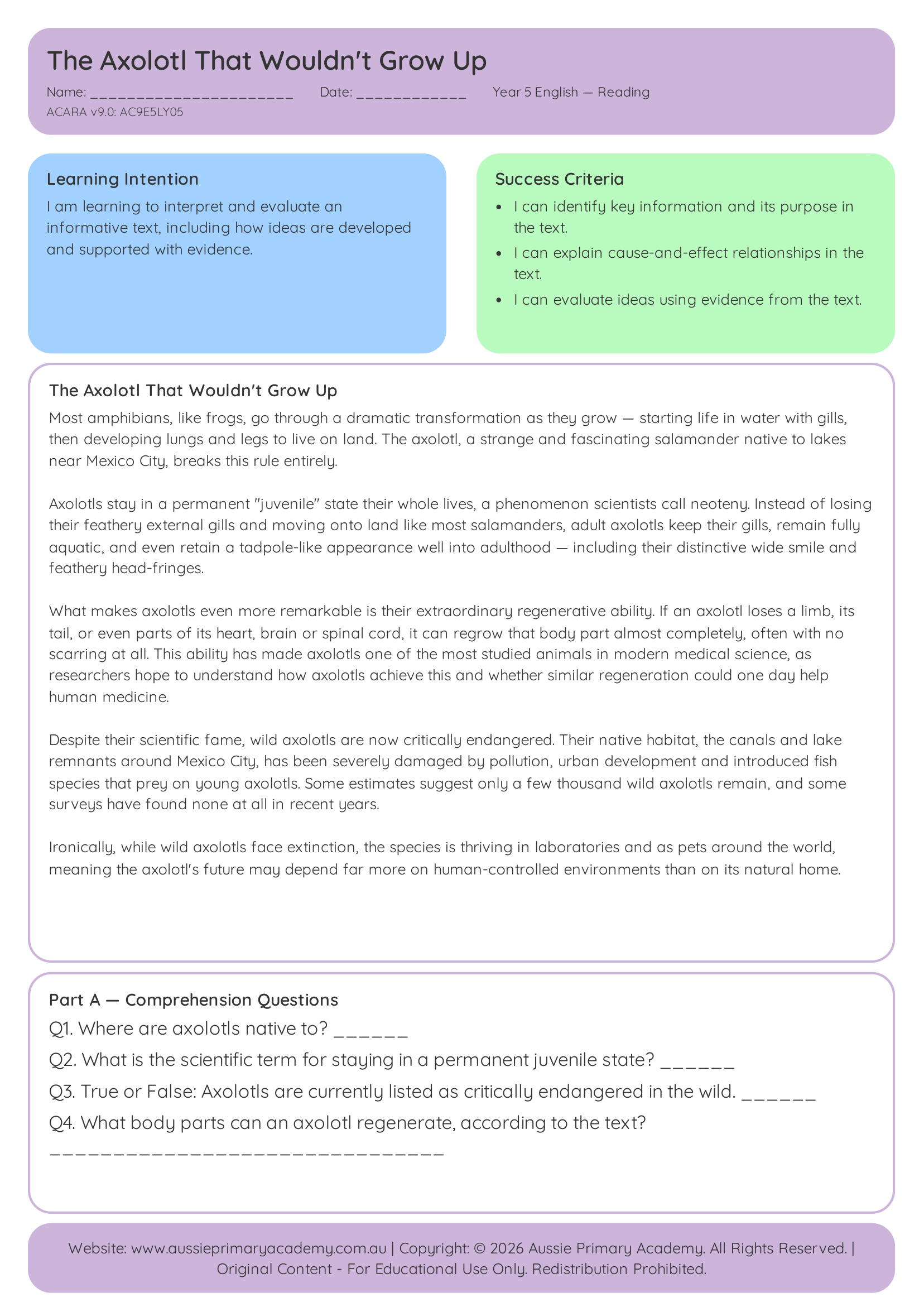 Reading Comprehension The Axolotl That Wouldnt Grow Up Ac9E5Ly05 Colour worksheet preview