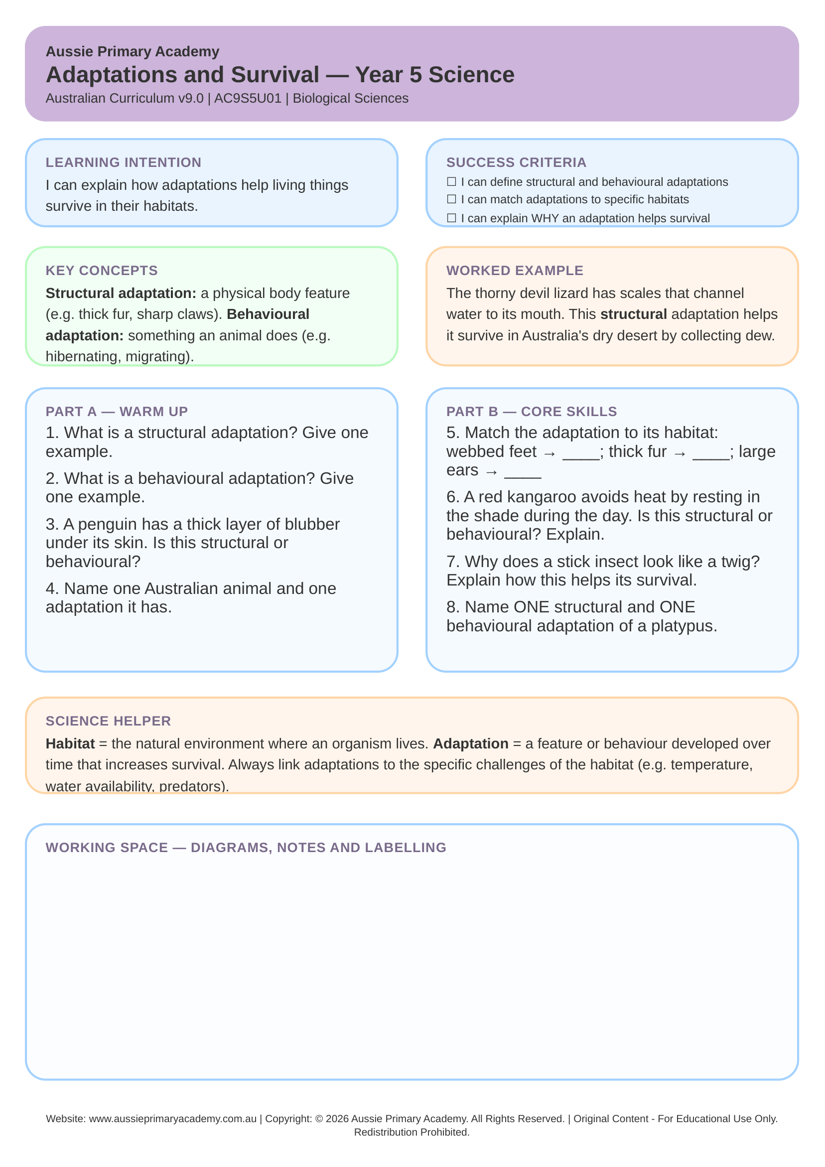 Adaptations And Survival worksheet preview